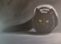 een kat, schilderij