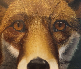 fox, painting