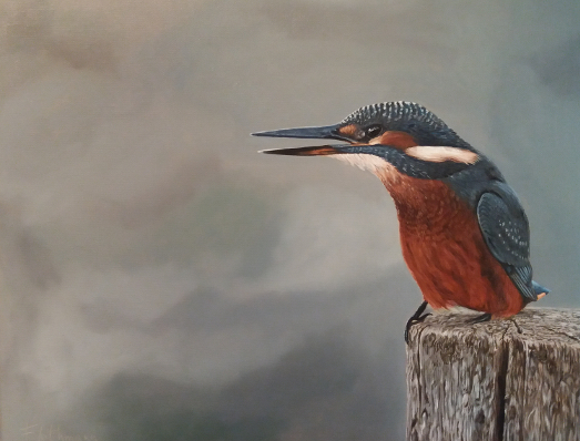 kingfisher, painting