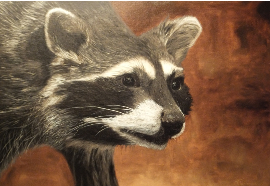 racoon, painting