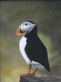 puffin, painting