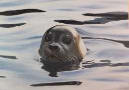 seal, painting